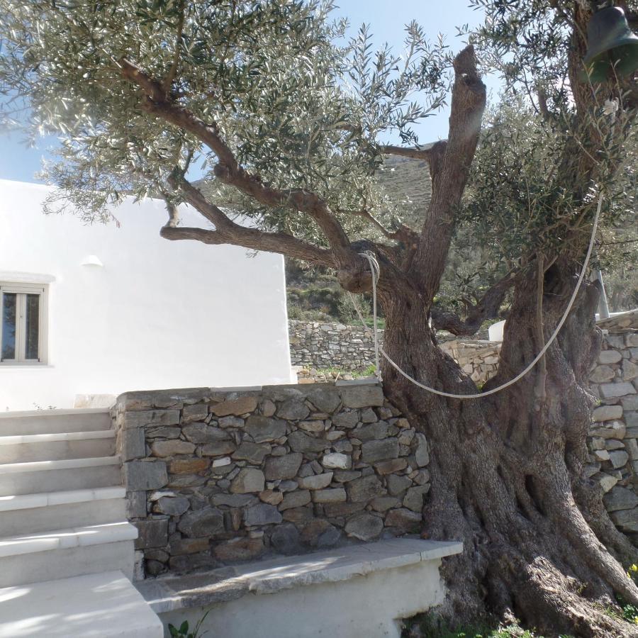 Paros Apartments Cottage ภายนอก รูปภาพ