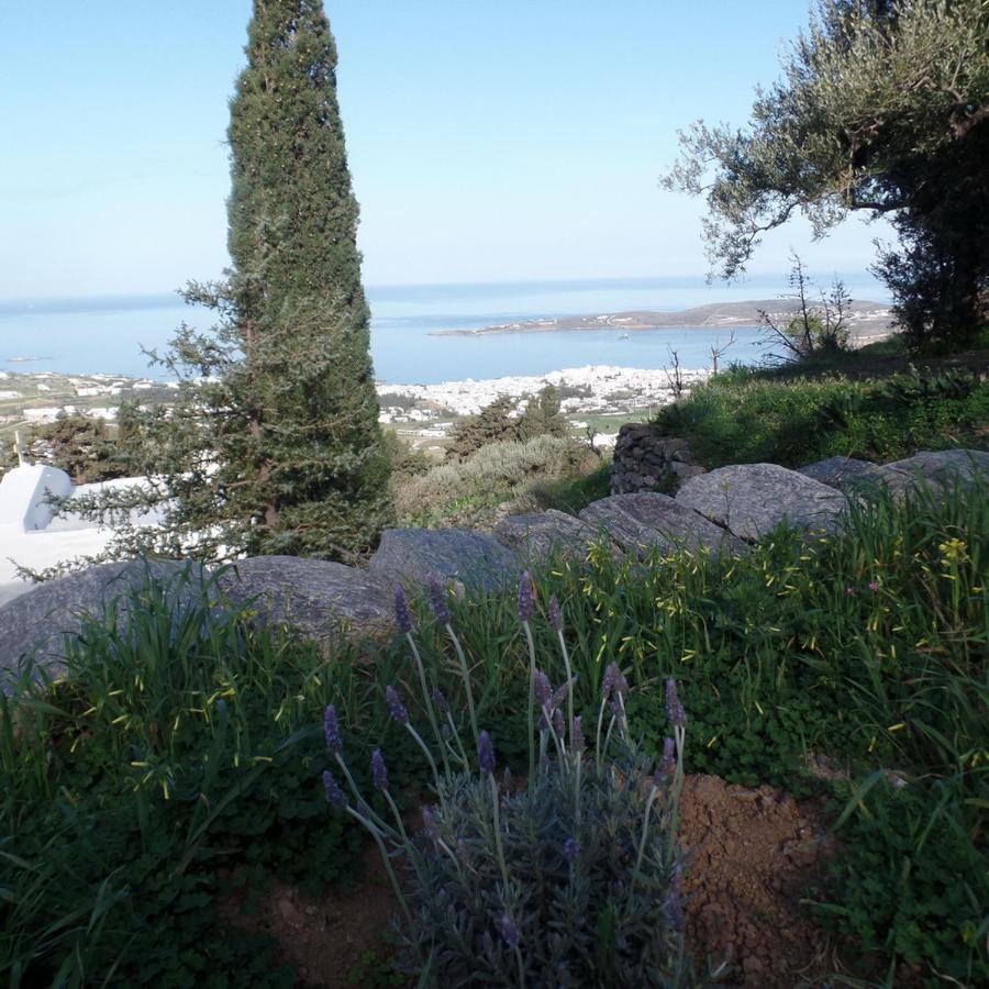 Paros Apartments Cottage ภายนอก รูปภาพ