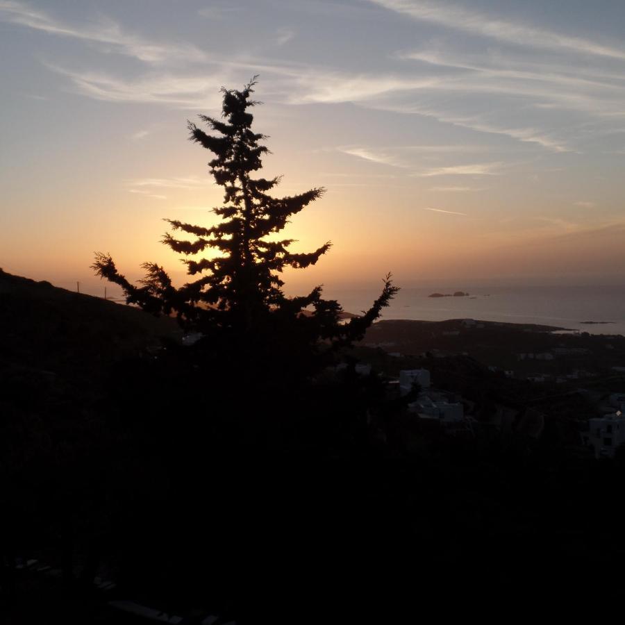 Paros Apartments Cottage ภายนอก รูปภาพ
